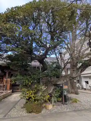 永稱寺(東京都)