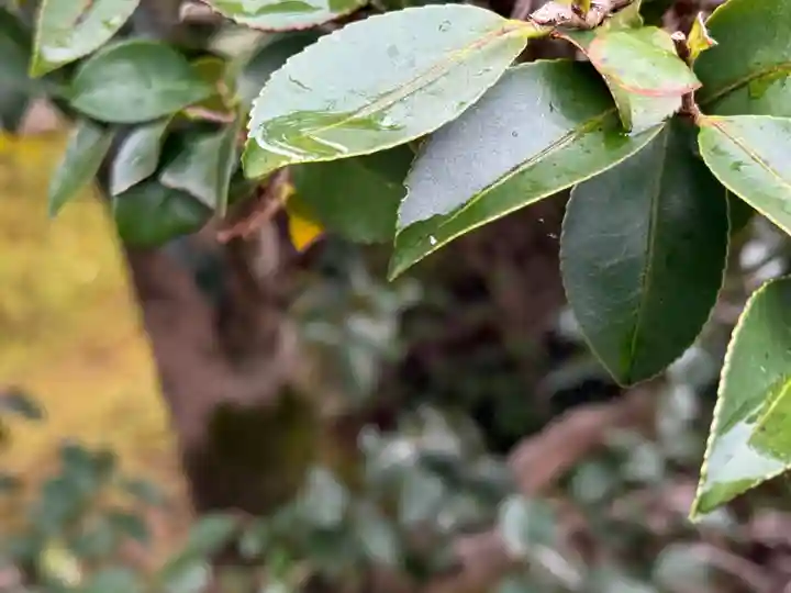 西方山極楽寺(岐阜県)