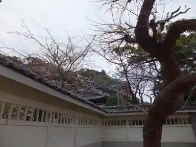 龍口寺のその他建物