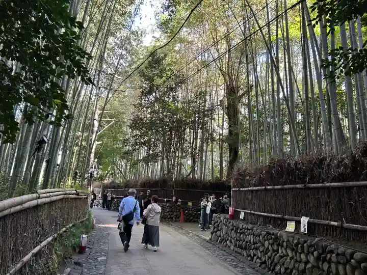野宮神社(京都府)