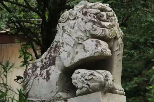 菅布禰神社の狛犬