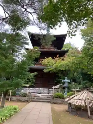 豪徳寺(東京都)