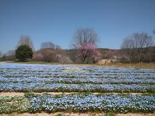 巳徳神社の周辺