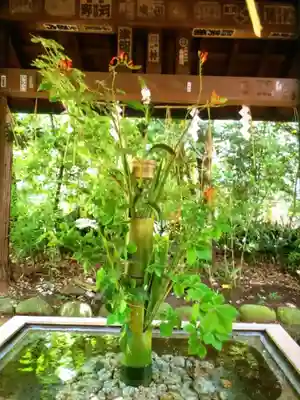 赤坂氷川神社(東京都)