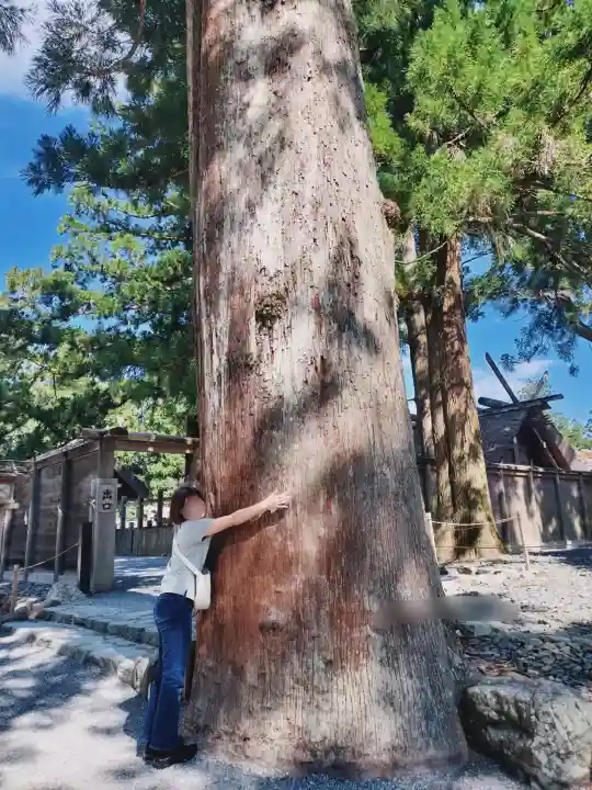伊勢神宮内宮(皇大神宮)の{uncategorized: "未分類", other: "その他", undefined: "問題あり", building: "その他建物", grave: "お墓", sacred_gate: "鳥居", guardian: "狛犬", statue: "像", buddha: "仏像", history: "歴史", nature: "自然", garden: "庭園", animal: "動物", pagoda: "塔", temizu: "手水舎", mountain_gate: "山門・神門", sanctuary: "本殿・本堂", subordinate: "末社・摂社", art: "芸術", scenery: "景色", jizo: "地蔵", ema: "絵馬", goshuin: "御朱印", omikuji: "おみくじ", items: "授与品その他", amulet: "お守り", goshuincho: "御朱印帳", eats: "食事", festival: "お祭り", votive_dance: "神楽", shichigosan: "七五三参", wedding: "結婚式", experience: "体験その他", initially: "初詣", around: "周辺", anti_infection: "感染症対策"}