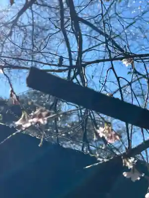 櫻木神社(千葉県)