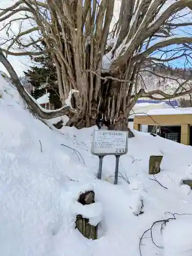 黄金龍神社（桂不動）(北海道)