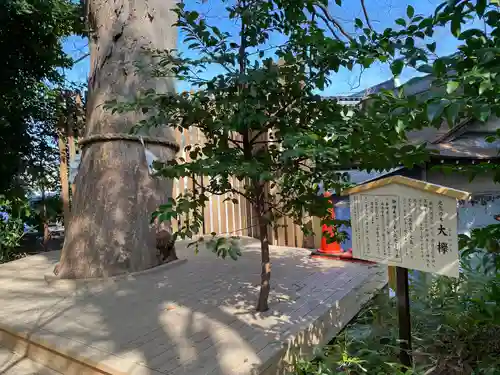 鎮守氷川神社の自然