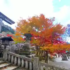 古峯神社の自然