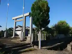 津島神社の鳥居