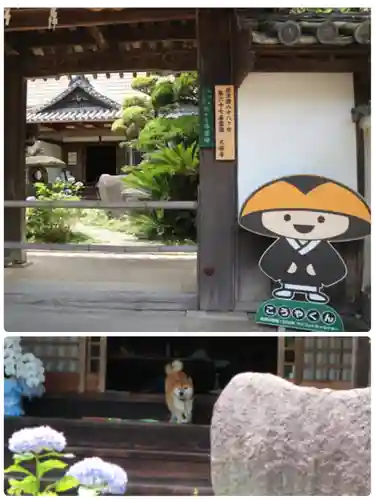 久安寺(大阪府)