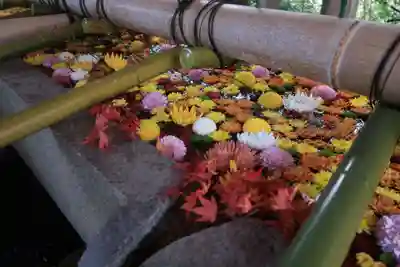 石清水八幡宮の手水舎