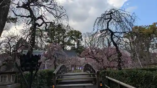 北野天満宮(京都府)