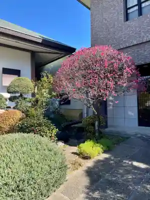 善仁寺(東京都)