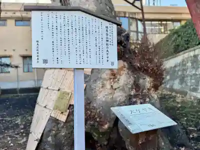 白山神社の{uncategorized: "未分類", other: "その他", undefined: "問題あり", building: "その他建物", grave: "お墓", sacred_gate: "鳥居", guardian: "狛犬", statue: "像", buddha: "仏像", history: "歴史", nature: "自然", garden: "庭園", animal: "動物", pagoda: "塔", temizu: "手水舎", mountain_gate: "山門・神門", sanctuary: "本殿・本堂", subordinate: "末社・摂社", art: "芸術", scenery: "景色", jizo: "地蔵", ema: "絵馬", goshuin: "御朱印", omikuji: "おみくじ", items: "授与品その他", amulet: "お守り", goshuincho: "御朱印帳", eats: "食事", festival: "お祭り", votive_dance: "神楽", shichigosan: "七五三参", wedding: "結婚式", experience: "体験その他", initially: "初詣", around: "周辺", anti_infection: "感染症対策"}