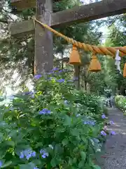 磯山神社の鳥居