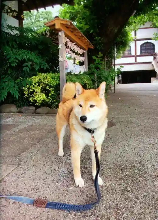 感通寺(東京都)