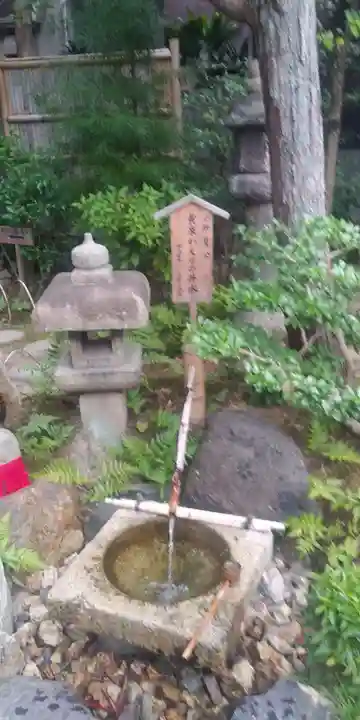 六道珍皇寺の庭園