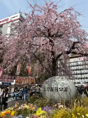 清水観音堂の{uncategorized: "未分類", other: "その他", undefined: "問題あり", building: "その他建物", grave: "お墓", sacred_gate: "鳥居", guardian: "狛犬", statue: "像", buddha: "仏像", history: "歴史", nature: "自然", garden: "庭園", animal: "動物", pagoda: "塔", temizu: "手水舎", mountain_gate: "山門・神門", sanctuary: "本殿・本堂", subordinate: "末社・摂社", art: "芸術", scenery: "景色", jizo: "地蔵", ema: "絵馬", goshuin: "御朱印", omikuji: "おみくじ", items: "授与品その他", amulet: "お守り", goshuincho: "御朱印帳", eats: "食事", festival: "お祭り", votive_dance: "神楽", shichigosan: "七五三参", wedding: "結婚式", experience: "体験その他", initially: "初詣", around: "周辺", anti_infection: "感染症対策"}