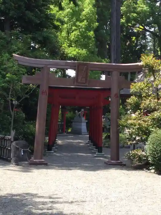 亀ケ池八幡宮の鳥居