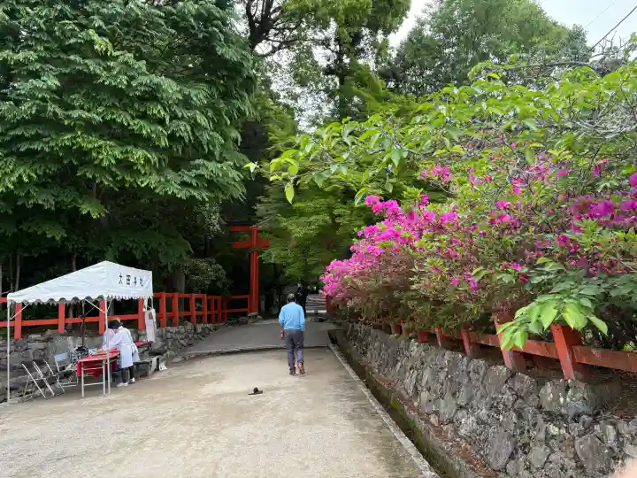 大田神社(賀茂別雷神社境外摂社)の{uncategorized: "未分類", other: "その他", undefined: "問題あり", building: "その他建物", grave: "お墓", sacred_gate: "鳥居", guardian: "狛犬", statue: "像", buddha: "仏像", history: "歴史", nature: "自然", garden: "庭園", animal: "動物", pagoda: "塔", temizu: "手水舎", mountain_gate: "山門・神門", sanctuary: "本殿・本堂", subordinate: "末社・摂社", art: "芸術", scenery: "景色", jizo: "地蔵", ema: "絵馬", goshuin: "御朱印", omikuji: "おみくじ", items: "授与品その他", amulet: "お守り", goshuincho: "御朱印帳", eats: "食事", festival: "お祭り", votive_dance: "神楽", shichigosan: "七五三参", wedding: "結婚式", experience: "体験その他", initially: "初詣", around: "周辺", anti_infection: "感染症対策"}