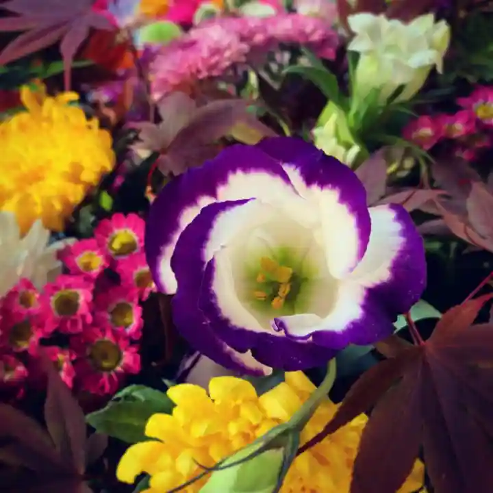 滑川神社 - 仕事と子どもの守り神の手水舎