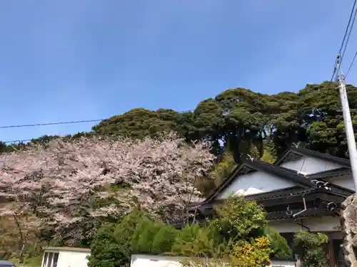 光明寺（馬木不動尊）の自然