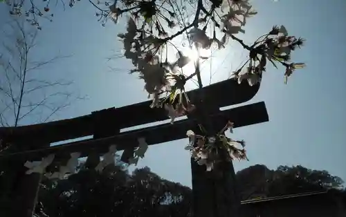 武雄神社の建物その他