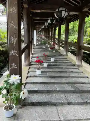 長谷寺(奈良県)