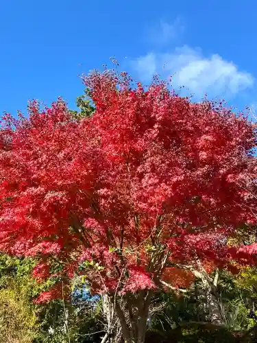 善水寺(滋賀県)