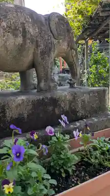 香雪院(京都府)