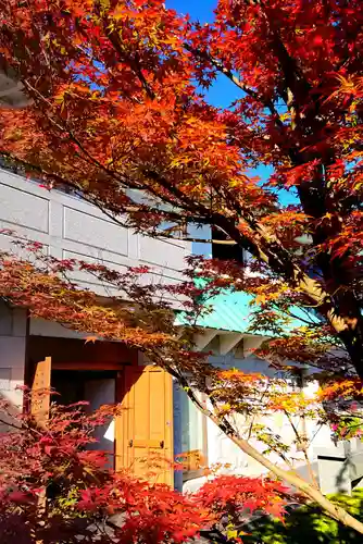 寿量山　速成寺(奈良県)