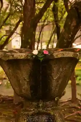 法然院(京都府)