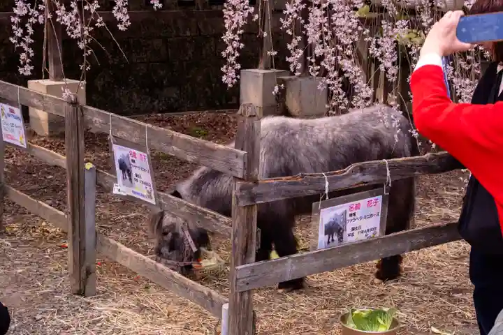 大石神社(京都府)