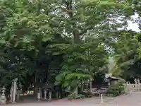 杉生神社の{uncategorized: "未分類", other: "その他", undefined: "問題あり", building: "その他建物", grave: "お墓", sacred_gate: "鳥居", guardian: "狛犬", statue: "像", buddha: "仏像", history: "歴史", nature: "自然", garden: "庭園", animal: "動物", pagoda: "塔", temizu: "手水舎", mountain_gate: "山門・神門", sanctuary: "本殿・本堂", subordinate: "末社・摂社", art: "芸術", scenery: "景色", jizo: "地蔵", ema: "絵馬", goshuin: "御朱印", omikuji: "おみくじ", items: "授与品その他", amulet: "お守り", goshuincho: "御朱印帳", eats: "食事", festival: "お祭り", votive_dance: "神楽", shichigosan: "七五三参", wedding: "結婚式", experience: "体験その他", initially: "初詣", around: "周辺", anti_infection: "感染症対策"}