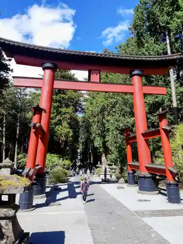 北口本宮冨士浅間神社の鳥居