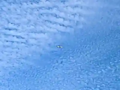 厳島神社(千葉県)