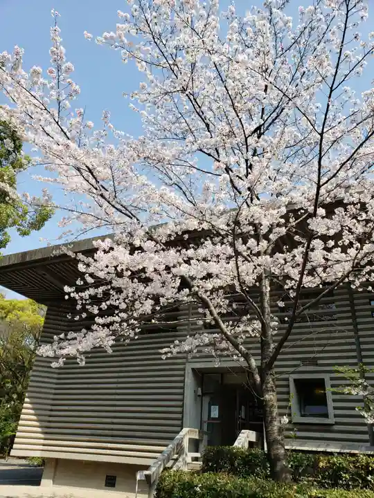 熱田神宮の自然
