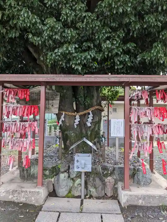 白山神社(二子町)の自然