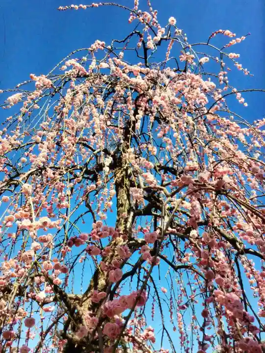 常性寺(東京都)