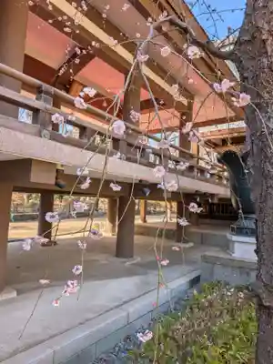 妙法寺(東京都)