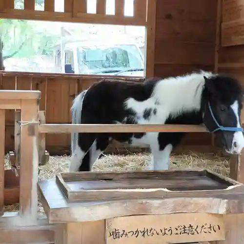 平塚八幡宮(神奈川県)