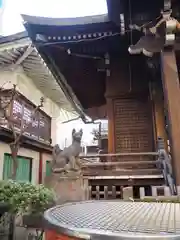 柳森神社の狛犬