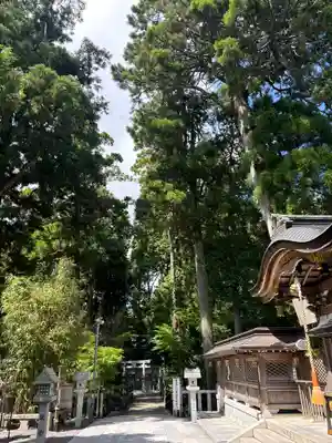 田村神社の自然