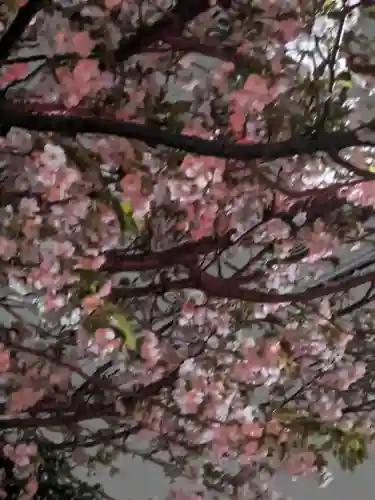 玉眞院玉川大師(東京都)
