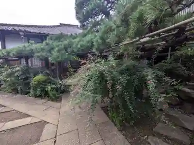 妙情寺(東京都)