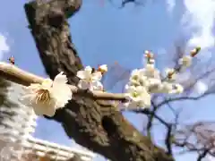 榴岡天満宮の自然