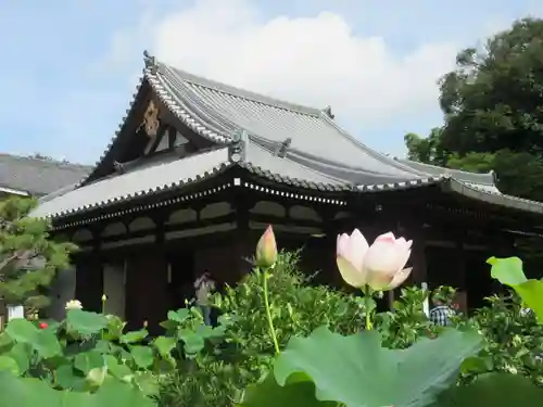 法金剛院の本殿・本堂