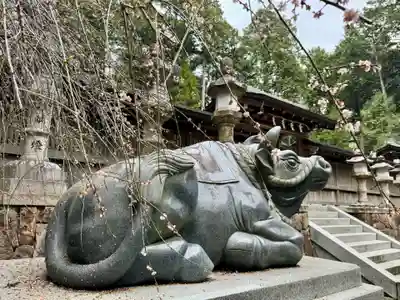 瀧樹神社(滋賀県)
