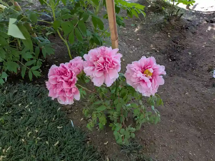 上野東照宮(東京都)